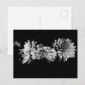 Black-and-White Dahlia Trio Briefkaart (Voorkant / Achterkant)