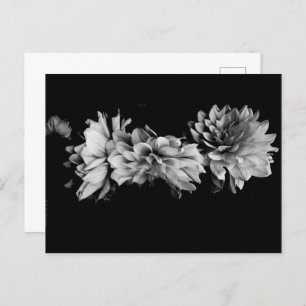 Black-and-White Dahlia Trio Feestdagenkaart