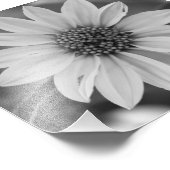 Black and White Daisy Foto van E.A. Schneider Afdruk (Hoek)