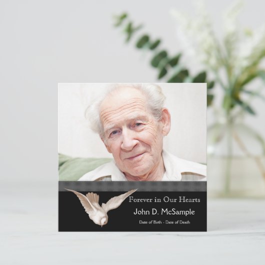 Black and White Dove Fotobegrafenis Aankondigingen (Staand voorkant)