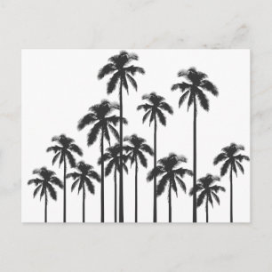 Black and White Exotic Tropical Palm Trees Briefkaart