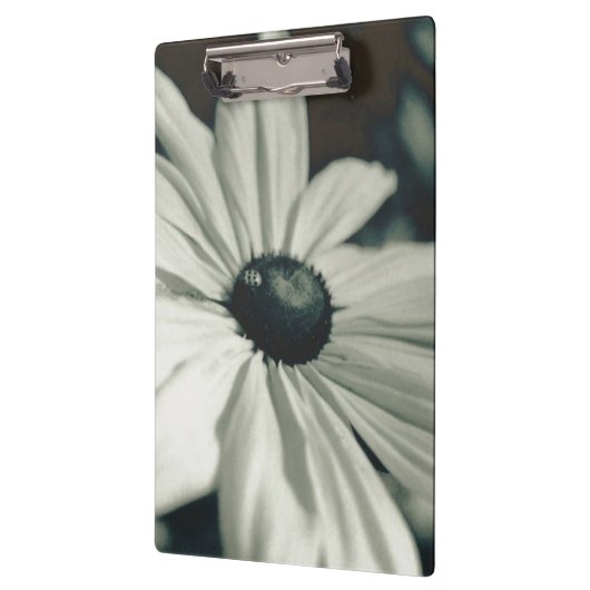 Black and White - Eyed Susan Klembord (Links)