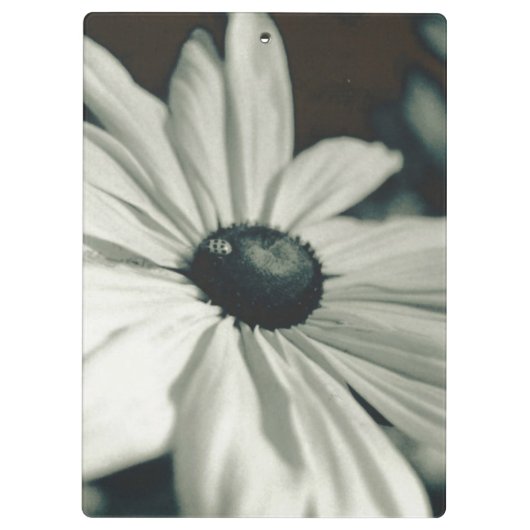 Black and White - Eyed Susan Klembord (Achterkant)