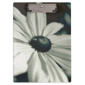 Black and White - Eyed Susan Klembord (Voorkant)