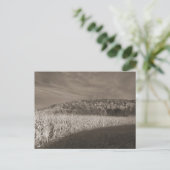 Black and White Fields Of Grain Briefkaart (Staand voorkant)