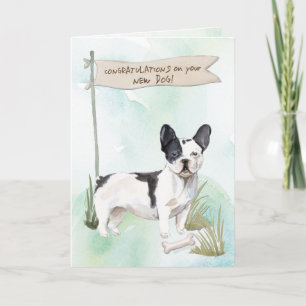 Black and White French Bulldog Congrates on New Do Kaart