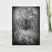 Black and White Frosty Winter Scene All Occasion Kaart (Voorkant)