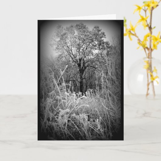 Black and White Frosty Winter Scene All Occasion Kaart (Gele Bloem)