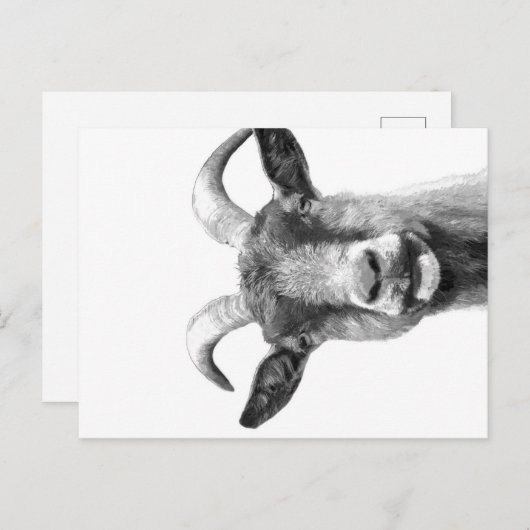 Black and White Goat _Funny Goat Canvas| Feestdagenkaart (Voorkant / Achterkant)