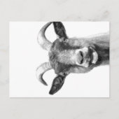 Black and White Goat _Funny Goat Canvas| Feestdagenkaart (Voorkant)