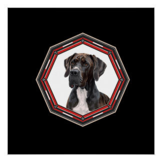 Black And White Great Dane In A Red Frame Perfect Poster