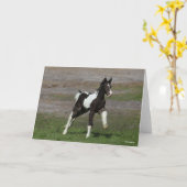 Black and White Gypsy Vanner Foal Running Kaart (Gele Bloem)