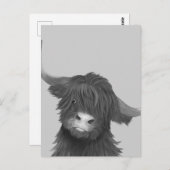 Black and White Highland Koe Briefkaart (Voorkant / Achterkant)