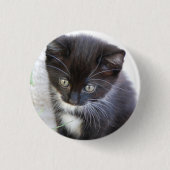 Black and White Kitten Photo Ronde Button 3,2 Cm (Voorkant)