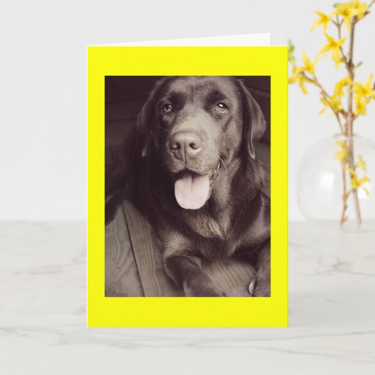 Black And White Labrador Retriever Dog Note Card Kaart (Gele Bloem)