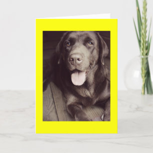 Black And White Labrador Retriever Dog Note Card Kaart