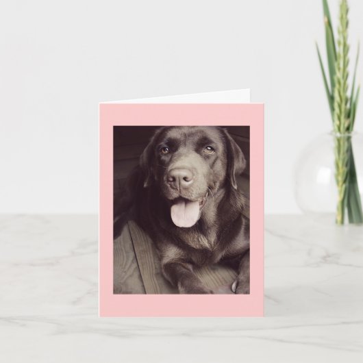 Black And White Labrador Retriever Dog Note Card Kaart (Voorkant)