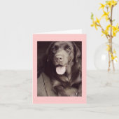 Black And White Labrador Retriever Dog Note Card Kaart (Gele Bloem)