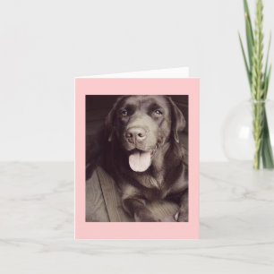 Black And White Labrador Retriever Dog Note Card Kaart
