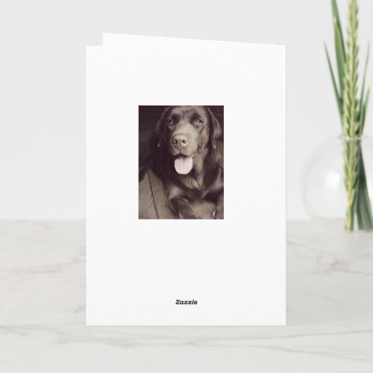 Black And White Labrador Retriever Dog Note Card Kaart (Achterkant)