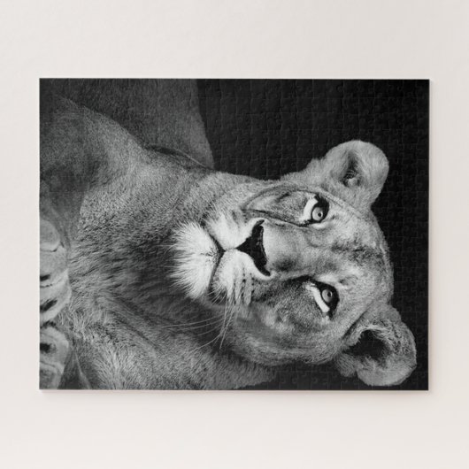 black and white lion legpuzzel (Horizontaal)