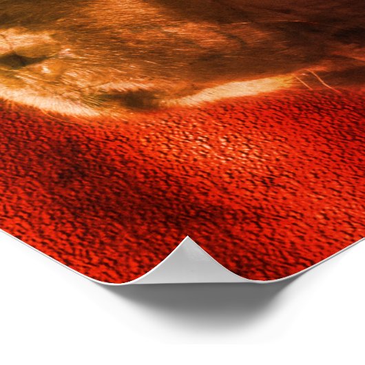 Black and White Newfoundland Dog Face Abstract Poster (Hoek)