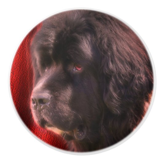 Black and White Newfoundland Dog Face Keramische Knop (Voorkant)