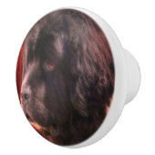 Black and White Newfoundland Dog Face Keramische Knop (Rechts)