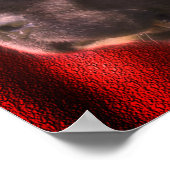 Black and White Newfoundland Dog Face Poster (Hoek)