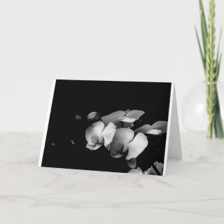 Black and White Orchid Branch Card Kaart