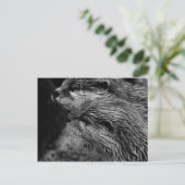 black and white otters briefkaart (Staand voorkant)