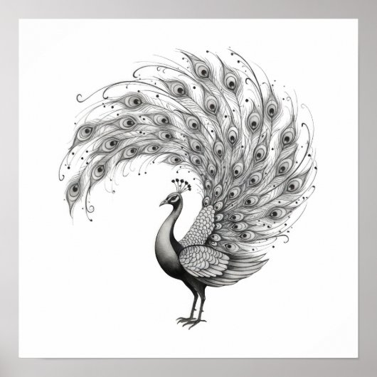 Black and White Peacock Poster (Voorkant)