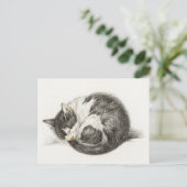 Black and white pencil drawing of a sleeping cat briefkaart (Staand voorkant)