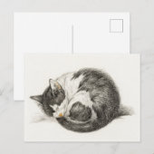 Black and white pencil drawing of a sleeping cat briefkaart (Voorkant / Achterkant)