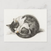 Black and white pencil drawing of a sleeping cat briefkaart (Voorkant)