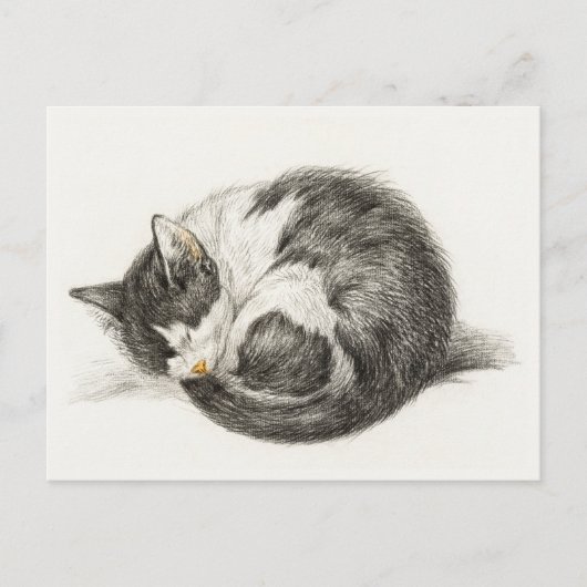 Black and white pencil drawing of a sleeping cat briefkaart (Voorkant)