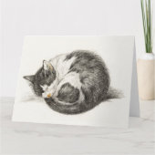 Black and white pencil drawing of a sleeping cat kaart (Voorkant)