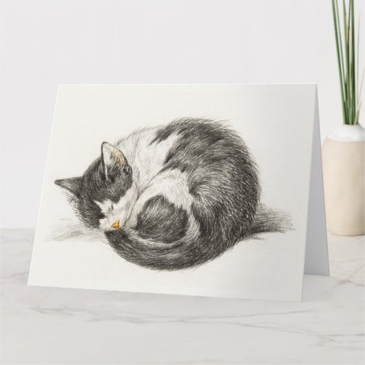 Black and white pencil drawing of a sleeping cat kaart (Voorkant)