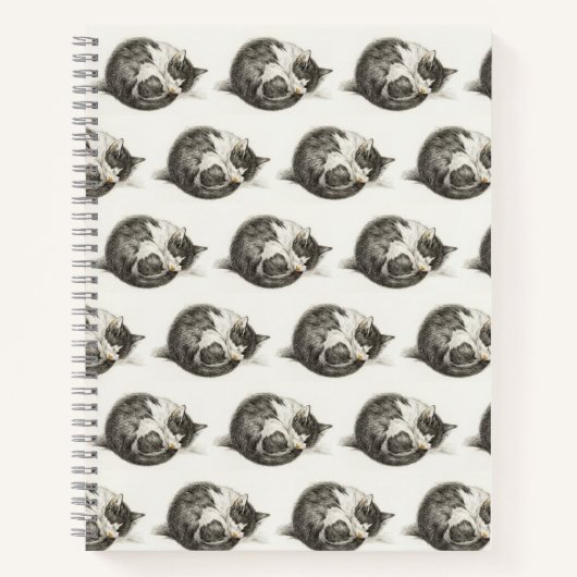 Black and white pencil drawing of a sleeping cat notitieboek (Voorkant)