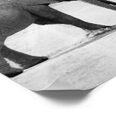Black and White Photograph of African Elephants Poster (Hoek)