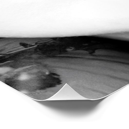 Black and White Pierced Lip Woman Perfect Poster (Hoek)