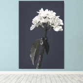 Black and White Plumeria Canvas Afdruk (Insitu (Houten vloer))