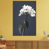 Black and White Plumeria Canvas Afdruk (Insitu (Woonkamer))