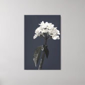 Black and White Plumeria Canvas Afdruk (Voorkant)