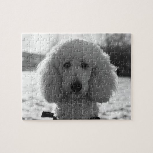 Black and White Poodle Face Puppy Eyes Legpuzzel (Horizontaal)