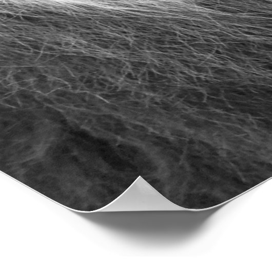 Black and white portrait of lion poster (Hoek)