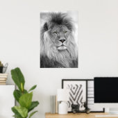 Black and white portrait of lion poster (Thuiskantoor)