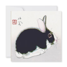 Black and White Rabbit, Japanese