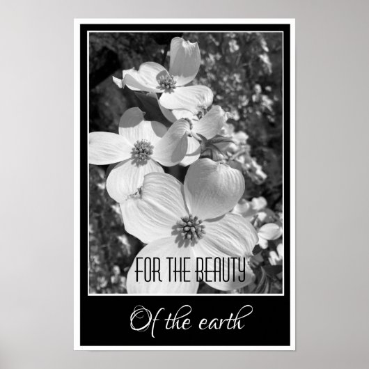 Black and White Reflections For the Beauty Poster (Voorkant)