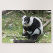 Black and White Ruffed Lemur: Wildlife Photography Legpuzzel (Horizontaal)